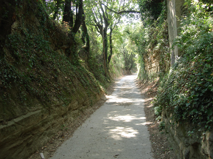 chemin creux